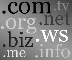 Do Profitable Business – Buying and Selling Domain Names