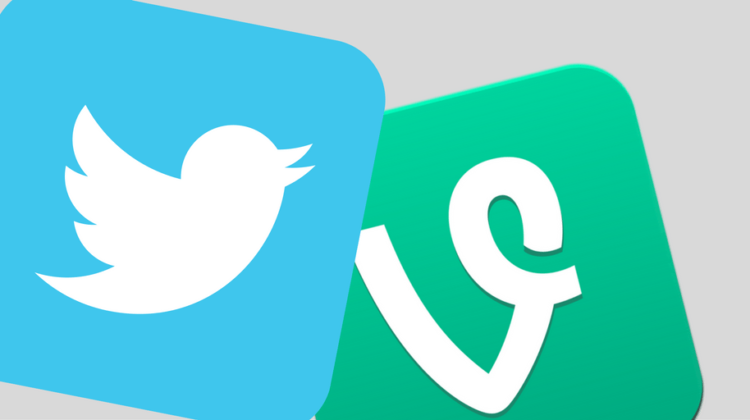 Twitter Vine: Just One Way In Which Video Marketing Can Help Your Business